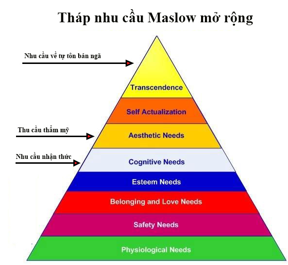 Mô hình tháp nhu cầu của Maslow  Học Viện MasterSkills