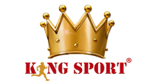 logo kingsport1